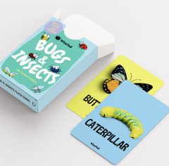 Bugs and Insects- Flash cards